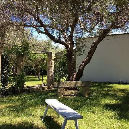 Casa de hóspedes Gelso