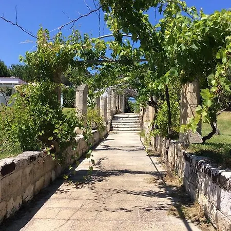 Gelso * Otranto