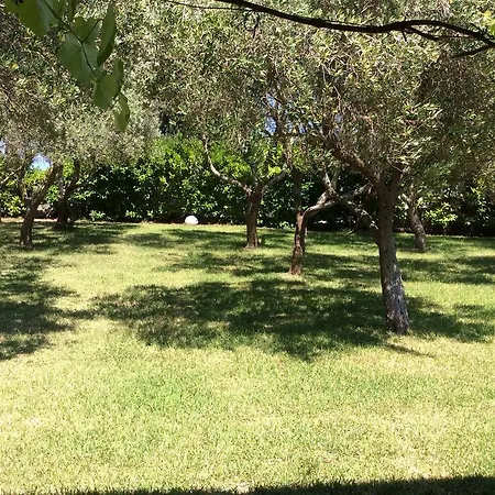 Gelso Casa de hóspedes